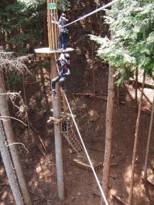 フォレストアドベンチャーこすげ