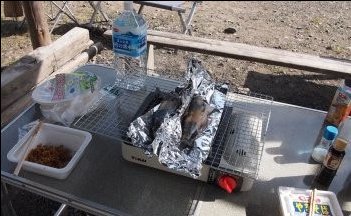 ニジマスを焼く