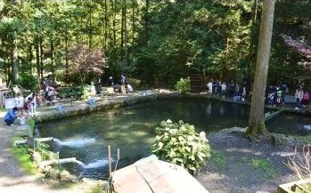 ニジマス専用池