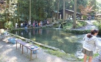 ニジマス専用池