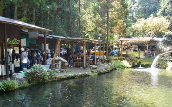 メインの生けす