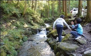 駐車場のわきの沢