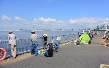 釣り専用堤防