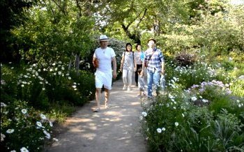 京王多摩川アンジェ 散歩コース