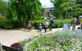 園内の散策コース