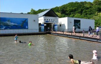 相模川ふれあい科学館