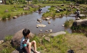 宮ヶ瀬湖畔公園 川遊び
