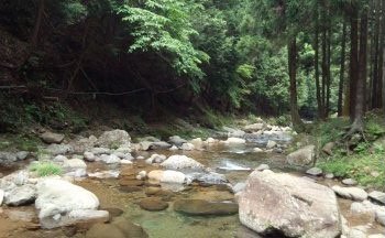 谷太郎川ます釣場 下流側