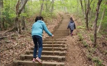 駐車場から山頂への道