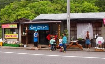 搾りたてのハチミツを試食