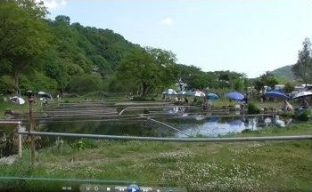 メインの釣り堀