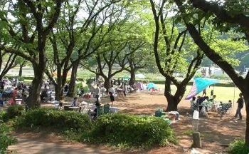 上大島キャンプ場 サイト