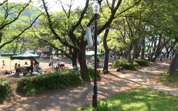 上大島キャンプ場 サイト