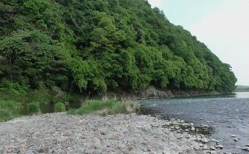 相模川の本流