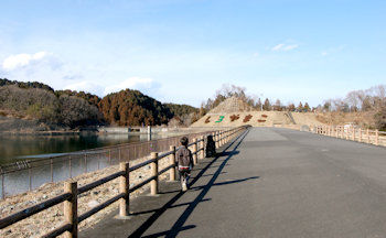 草戸山 城山湖 散策路