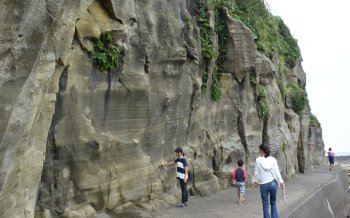 恵比寿島の岩壁