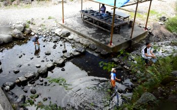 マスのつかみ取り