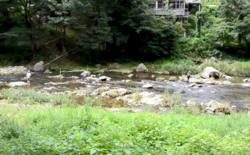 リバーティオの川