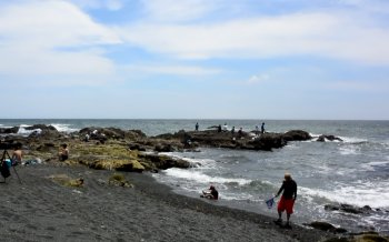 照ヶ崎海岸の磯