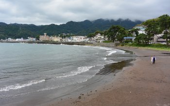 堤防の隣りの浜