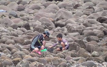 宇佐美留田で磯遊び