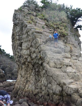 磯の岩壁