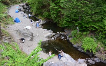 有間渓谷観光釣り場 半日エリア