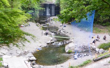 有間渓谷観光釣り場 1日エリア