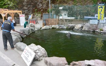 ミニ釣り場
