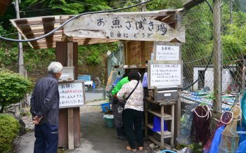 お魚のさばき場所
