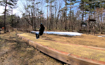 フォレストステージ