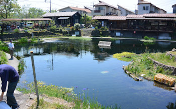 恩方国際釣堀場 下池