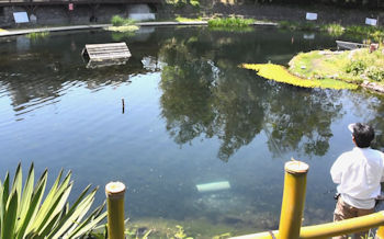 恩方国際釣堀場 下池