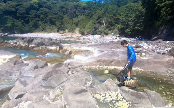 番場浦海岸 磯遊び