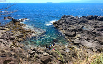 番場浦海岸の磯