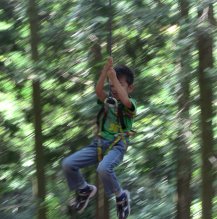 フォレストアドベンチャー箱根