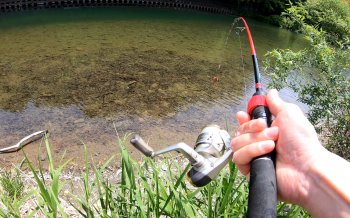 コイの吸込仕掛釣り