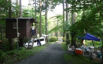 ネイチャーランド オム