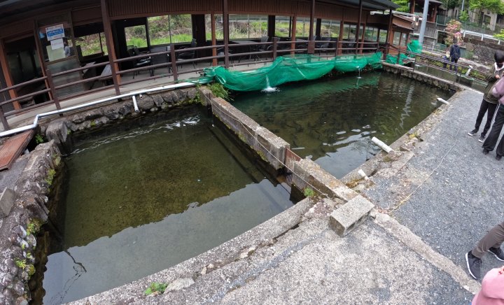 ニジマススペース