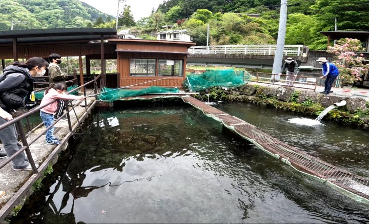 ヤマメスペース