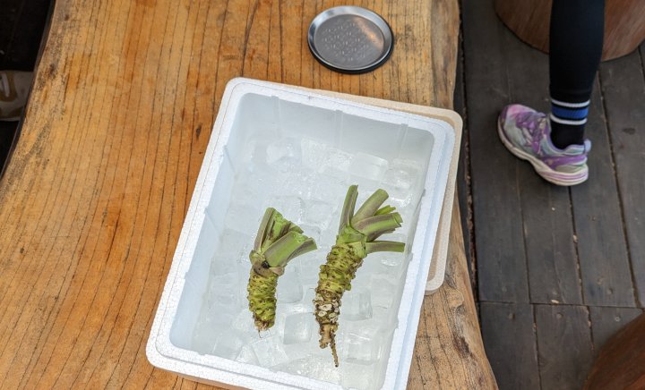 プレゼントの生わさび