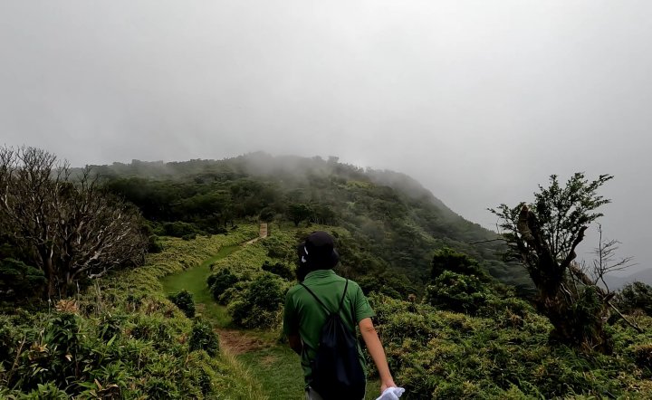 達磨山（だるまやま）