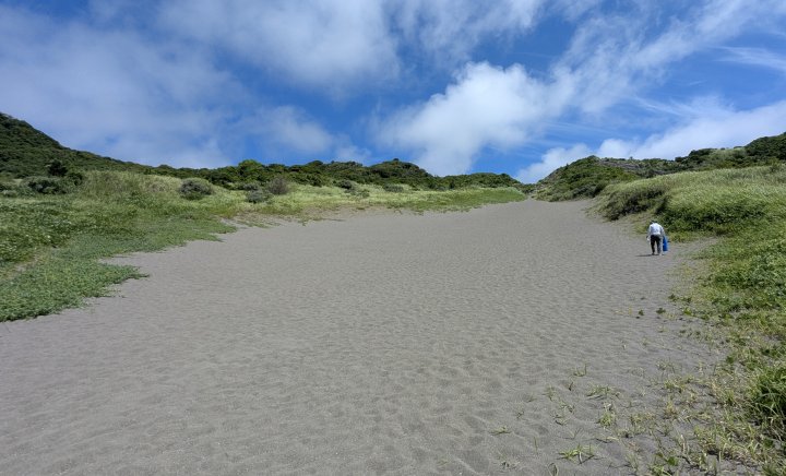 館山砂丘(南斜面)