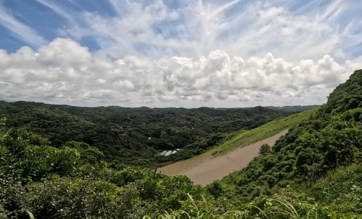 館山砂丘(北斜面)