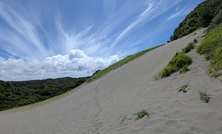 館山砂丘(北斜面)