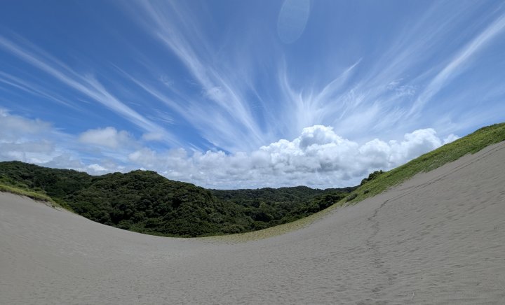 館山砂丘(北斜面)