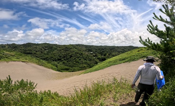 館山砂丘(北斜面)
