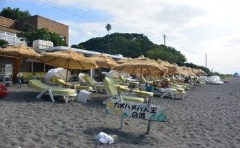 カメハメハ大王の渚